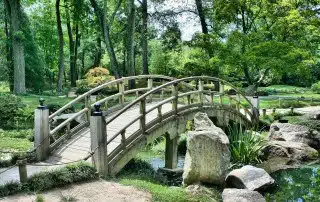 Innere Ruhe Berater