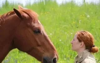 Was ist pferdegestütztes Coaching?