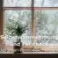 Selbstwahrnehmung und Feedback: Wie das Johari-Fenster dich weiterbringt