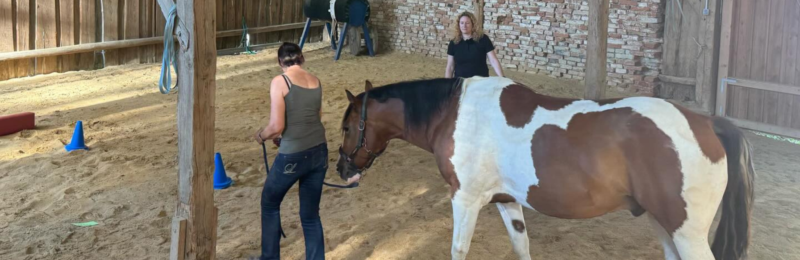 Landscape – Webseite (1)