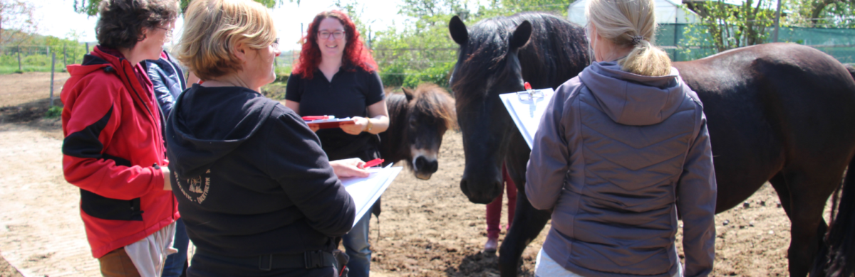 Landscape – Webseite